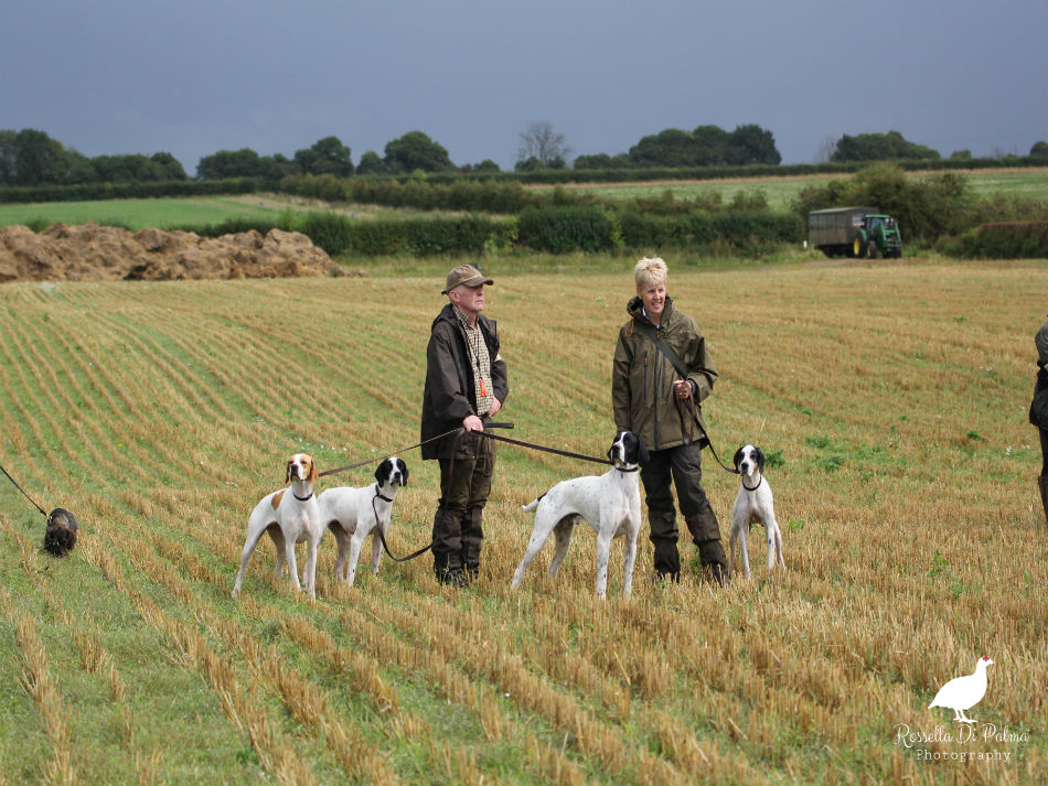 Field trials in Norfolk