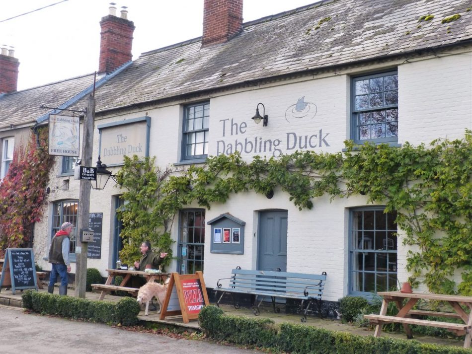 Enjoy a meal at the Dabbling Duck